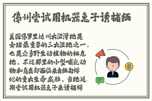 国产成人高清精品免费软件